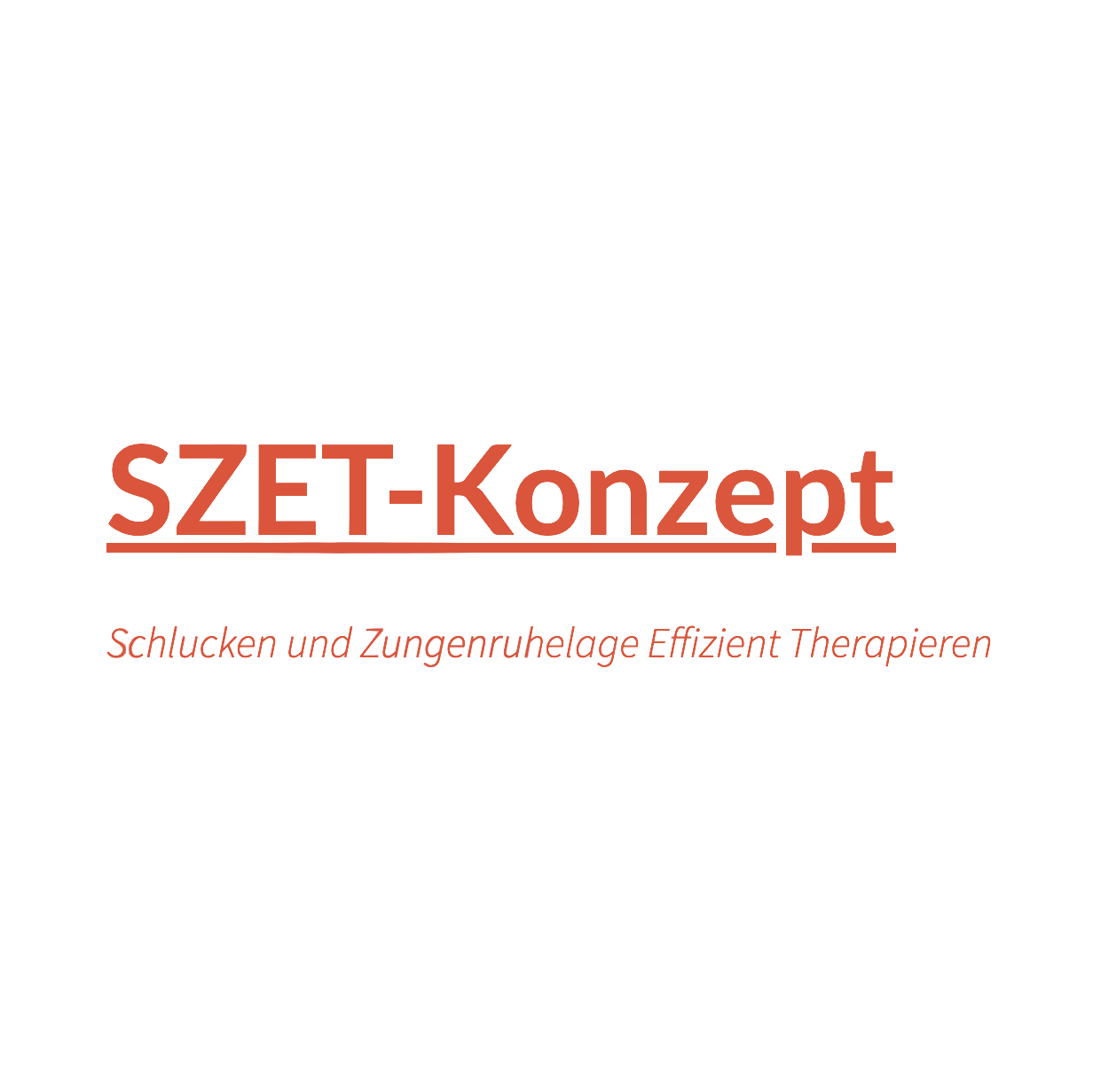 SZET-Konzept